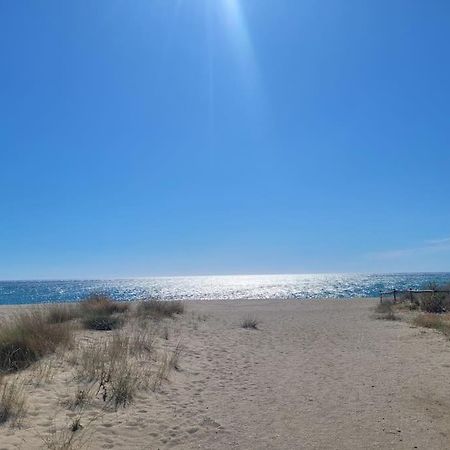 Joli Studio Bleu Mer Canet-en-Roussillon Eksteriør billede